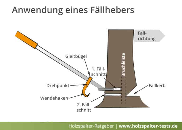 Baum Fällschnitt